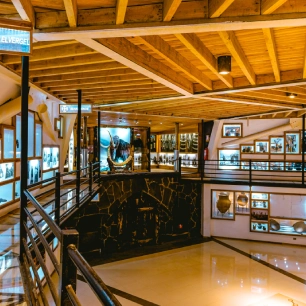 Tour por los senderos de la reserva Biológica HUilo Huilo