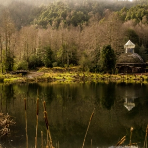 Tour por los senderos de la reserva Biológica HUilo Huilo