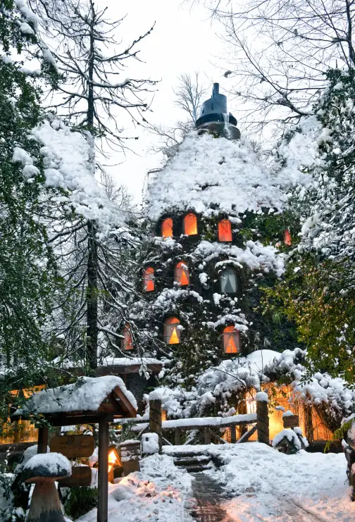Tour por los senderos de la reserva Biológica HUilo Huilo