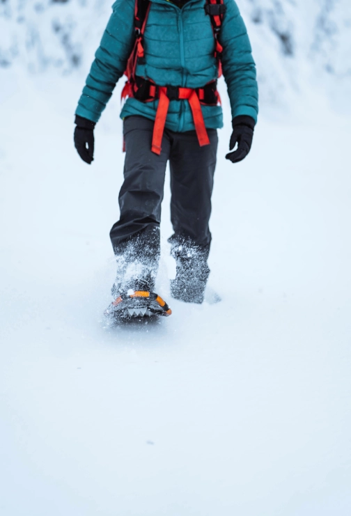 Caminar con raquetas por la nieve en el parque nacional Huerquehue