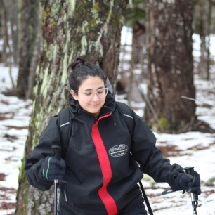 Paseo con raquetas entre araucarias al parque nacional Villarrica sendero lagunas andinas.