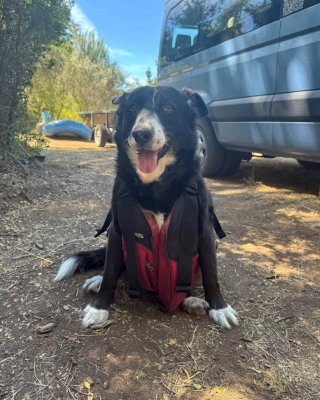 Historia de turismo aventur 12 Nuestra Historia