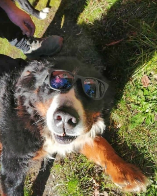 Historia de turismo aventur 13 Nuestra Historia