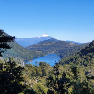 Descubre senderos únicos, lagunas cristalinas y bosques milenarios de araucarias. ¡Aventura inolvidable en Pucón, Chile!"