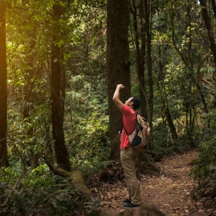 Descubre senderos únicos, lagunas cristalinas y bosques milenarios de araucarias. ¡Aventura inolvidable en Pucón, Chile!"