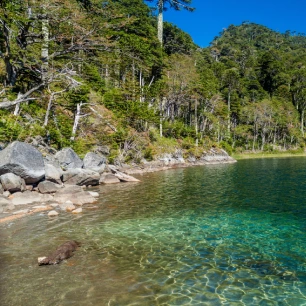 Descubre senderos únicos, lagunas cristalinas y bosques milenarios de araucarias. ¡Aventura inolvidable en Pucón, Chile!"