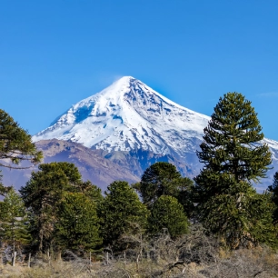 "Únete a nuestro trekking guiado a las impresionantes lagunas andinas del Parque Nacional Villarrica. Disfruta de la naturaleza con seguridad y comodidad. ¡Paisajes volcánicos y aventura te esperan en Pucón!"