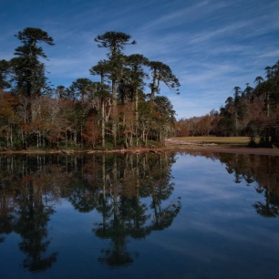 "Explora el Santuario El Cañi, Pucón. Camina por bosques nativos hasta llegar a miradores impresionantes y lagunas cristalinas. La mejor experiencia de trekking en Chile".