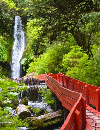 "Escápate a las Termas Geométricas en Pucón. Disfruta de piscinas termales naturales en un entorno boscoso único. ¡Relájate y recarga energías con nuestro tour!"