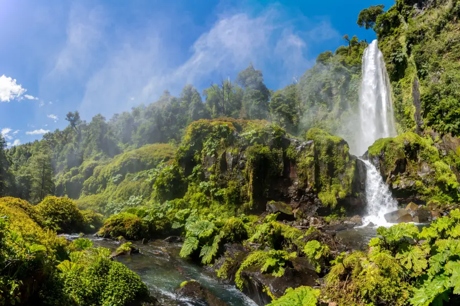 “Cascada principal visitada durante el tour a los saltos en plena naturaleza.”