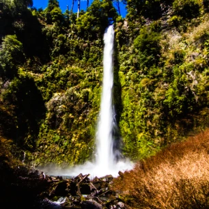 Descubre la majestuosidad de los Saltos en Pucón con un tour inolvidable. Admira cascadas impresionantes, rodeadas de exuberante naturaleza.