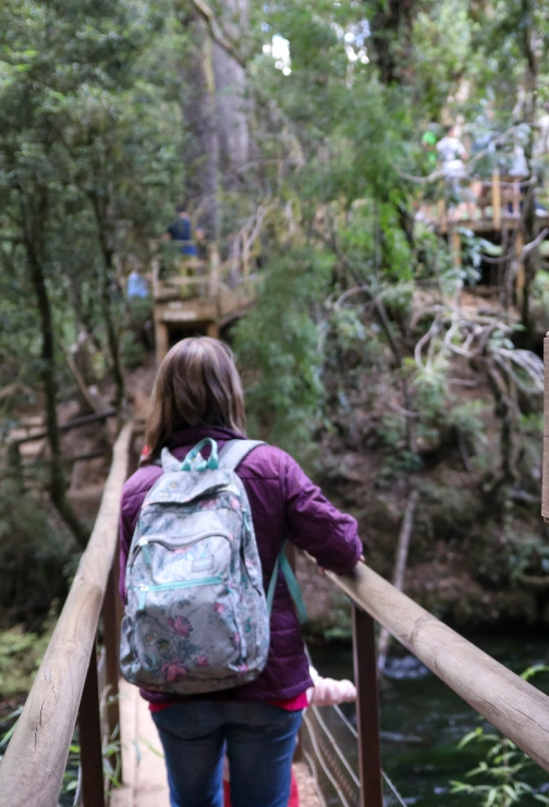 Caminando por el Tour por la zona y termas