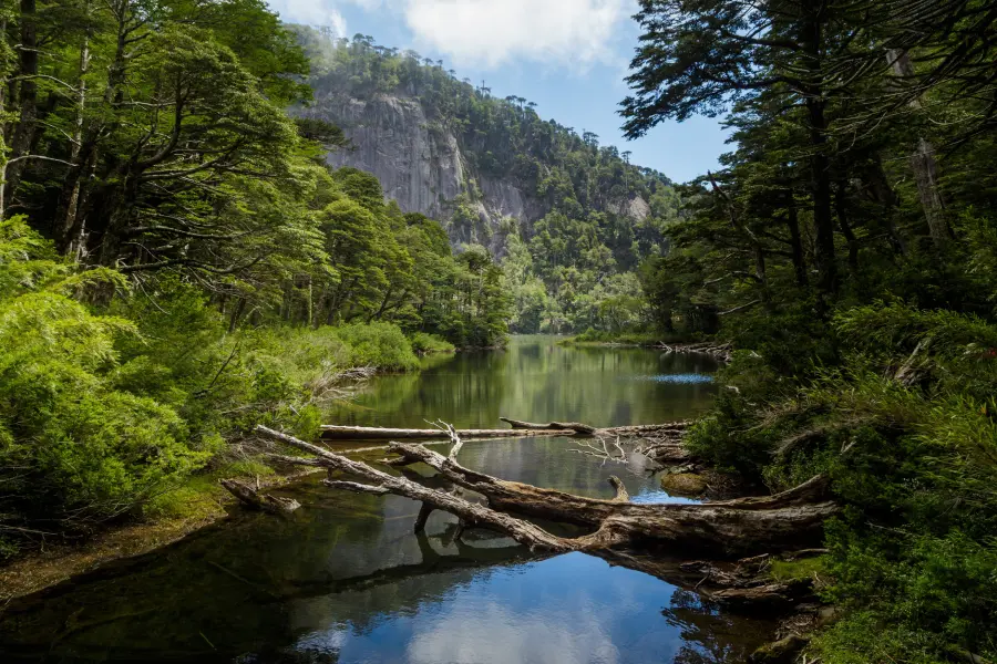 “Panorámica del lago rodeado de araucarias y pared rocosa en el Trekking Parque Nacional Huerquehue Sendero Los Lagos.”