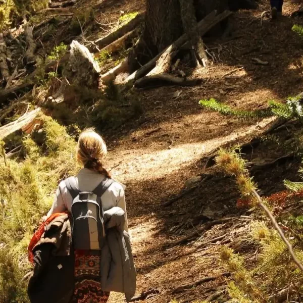 “Sendero natural entre árboles y montañas en el Trekking Parque Nacional Huerquehue Sendero Los Lagos.”