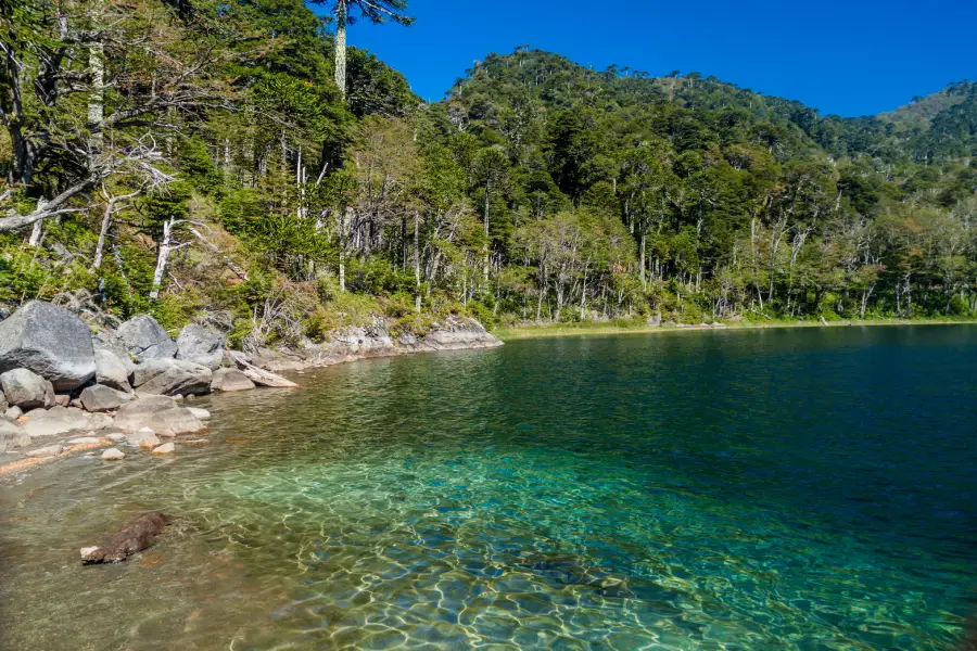“Lagunas cristalinas con araucarias de fondo en el Trekking Parque Nacional Huerquehue Sendero Los Lagos.”