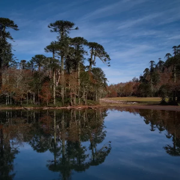 “Laguna de altura visitada durante el Trekking Santuario El Cañi.”