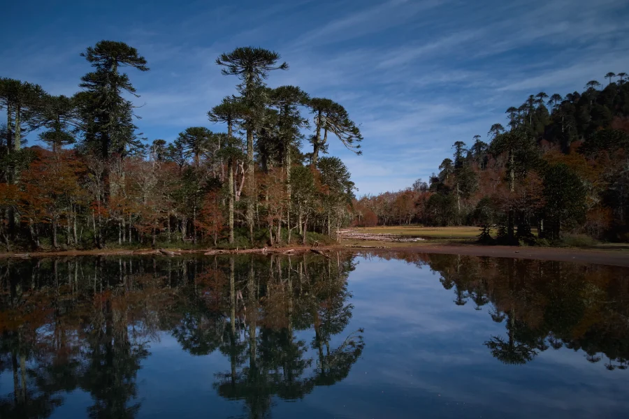 “Laguna de altura visitada durante el Trekking Santuario El Cañi.”
