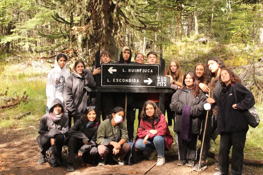 “Grupo de alumnos en excursión durante la Gira de Estudio Pucón.”