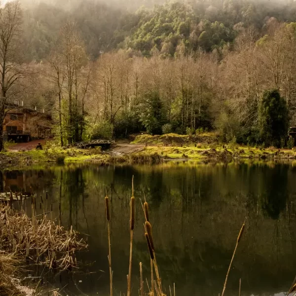 “Escenario invernal con lagunas y montañas en el Tour Invernal a la Reserva Biológica Huilo Huilo.”