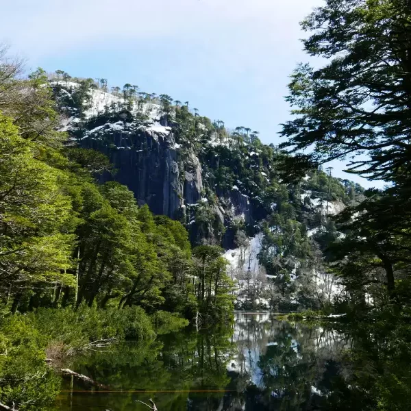 “Paisaje invernal con laguna espejo en el Trekking con Raquetas al parque nacional Huerquehue.”