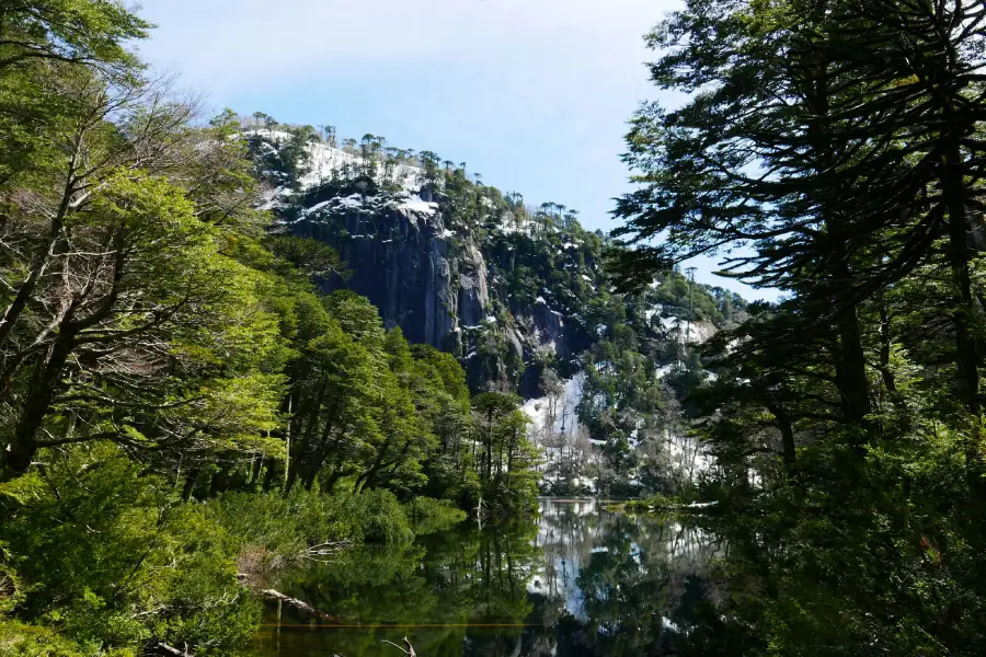 “Paisaje invernal con laguna espejo en el Trekking con Raquetas al parque nacional Huerquehue.”