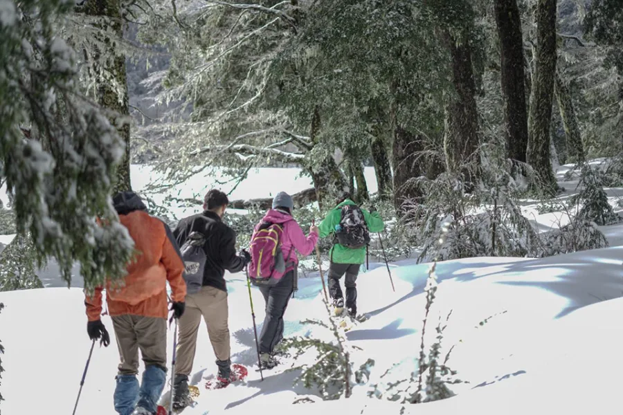 “Excursionistas avanzando con raquetas en el Trekking con Raquetas al Santuario el Cañi.”