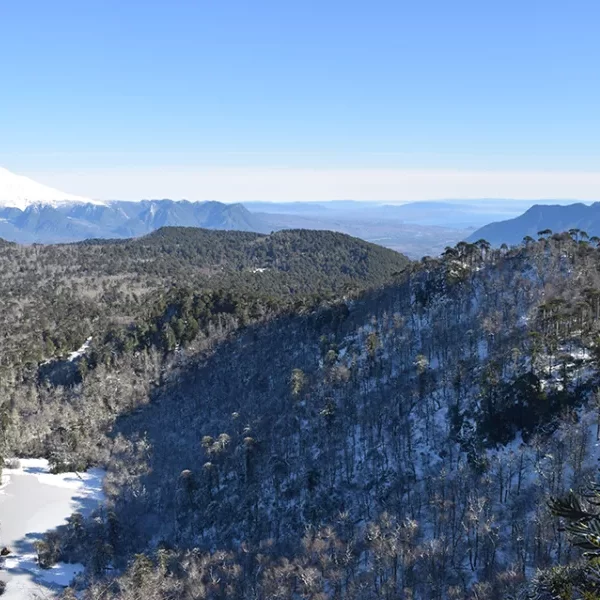 “Vista panorámica desde la cumbre en el Trekking con Raquetas al Santuario el Cañi.”
