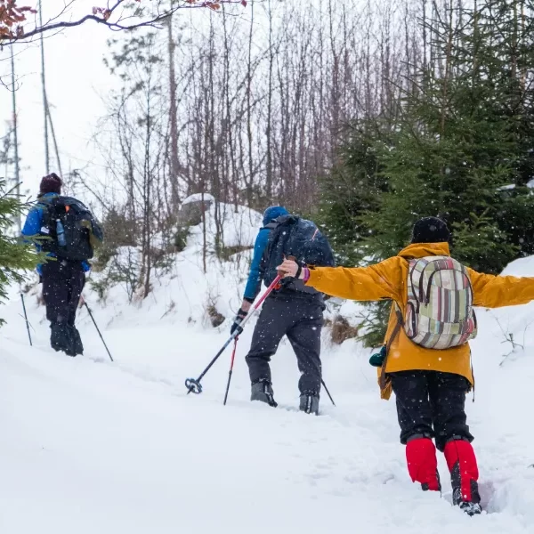 “Grupo realizando Trekking con Raquetas al parque nacional Huerquehue sobre sendero nevado.”