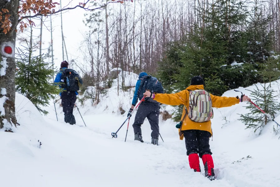 “Grupo realizando Trekking con Raquetas al parque nacional Huerquehue sobre sendero nevado.”