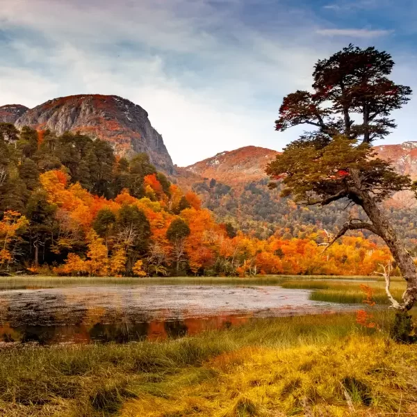 “Paisaje otoñal e invernal en el trekking con Raquetas a las Lagunas Andinas.”