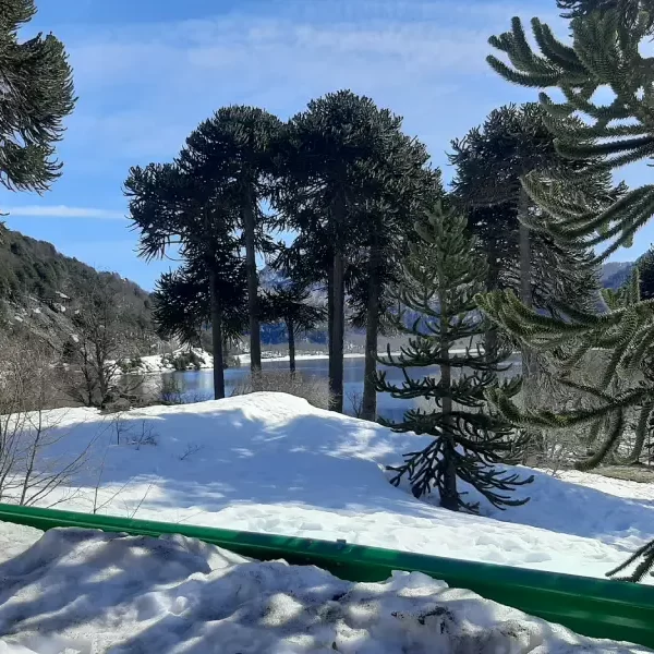 “Bosque nevado y lagunas de montaña en el trekking con Raquetas a las Lagunas Andinas.”