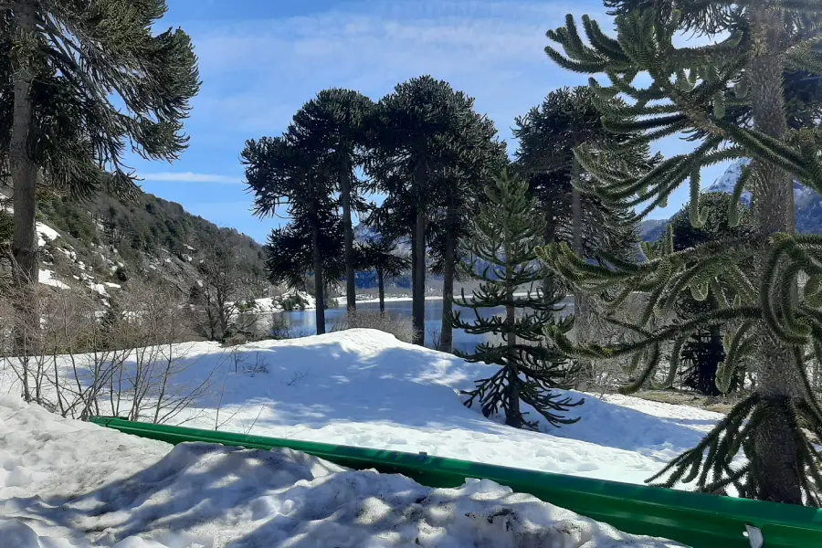 “Bosque nevado y lagunas de montaña en el trekking con Raquetas a las Lagunas Andinas.”