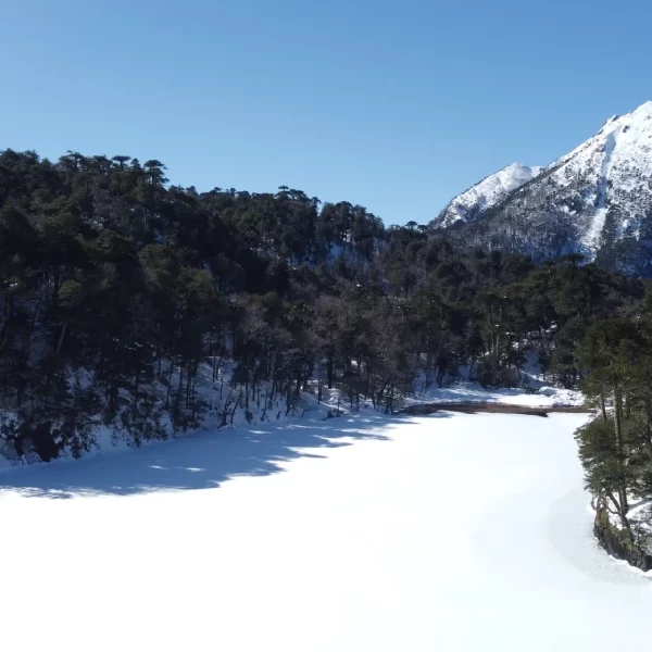 “Paisaje invernal y laguna congelada en el Trekking con Raquetas al parque nacional Huerquehue.”