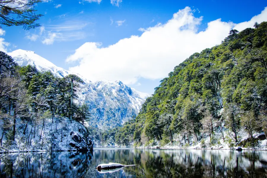 “Reflejo del bosque nevado en laguna durante el Trekking con Raquetas al parque nacional Huerquehue.”