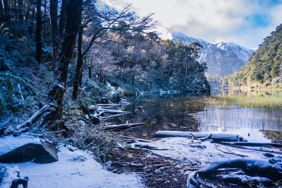 “Laguna rodeada de nieve y araucarias en el Trekking con Raquetas al parque nacional Huerquehue.”