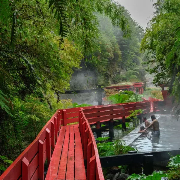 “Pasarelas rojas entre bosque y vapor en Termas Geométricas Invernal.”