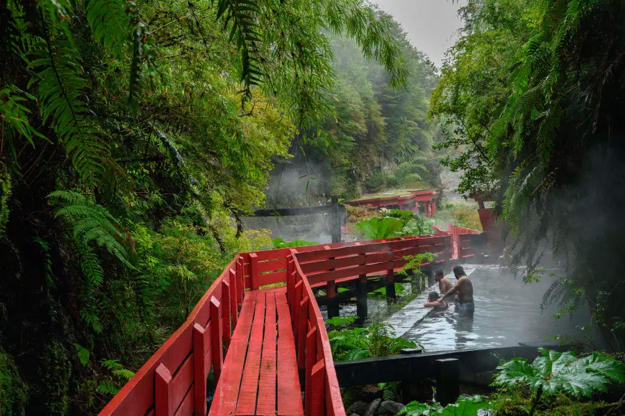 “Pasarelas rojas entre bosque y vapor en Termas Geométricas Invernal.”
