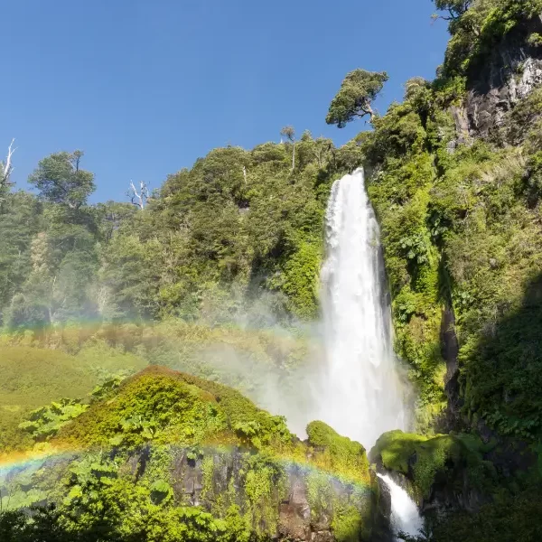 “Imponente salto de agua entre vegetación nativa en el Tour Invernal a los Saltos.”