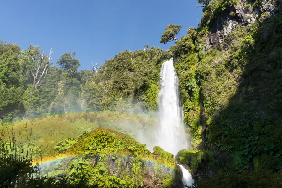 “Imponente salto de agua entre vegetación nativa en el Tour Invernal a los Saltos.”
