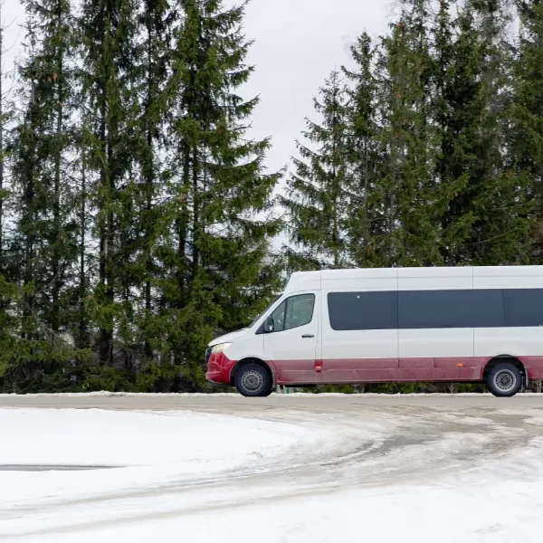 “Servicio confiable de Transporte al Centro de Ski Pillán desde Pucón.”