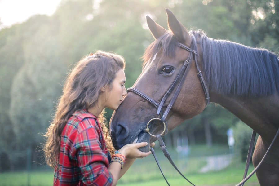 “Amor por los caballos en cabalgatas Fundo El Nogal.”