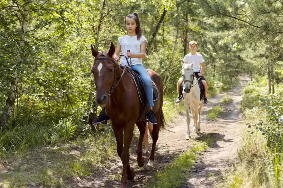 “Niños disfrutando cabalgatas Fundo El Nogal en Pucón.”