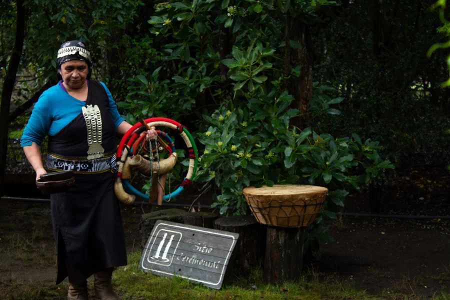 “Aprendizaje sobre cultura mapuche en Tour Étnico mapuche.”