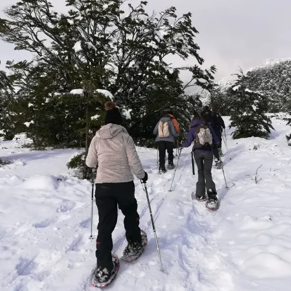 “Turistas realizando trekking con raquetas circuito cuevas volcánicas.”
