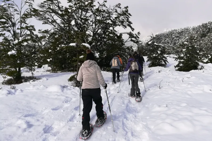 “Turistas realizando trekking con raquetas circuito cuevas volcánicas.”