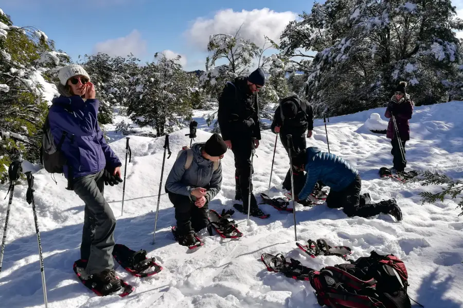 “Guía preparando equipo para trekking con raquetas circuito cuevas volcánicas.”